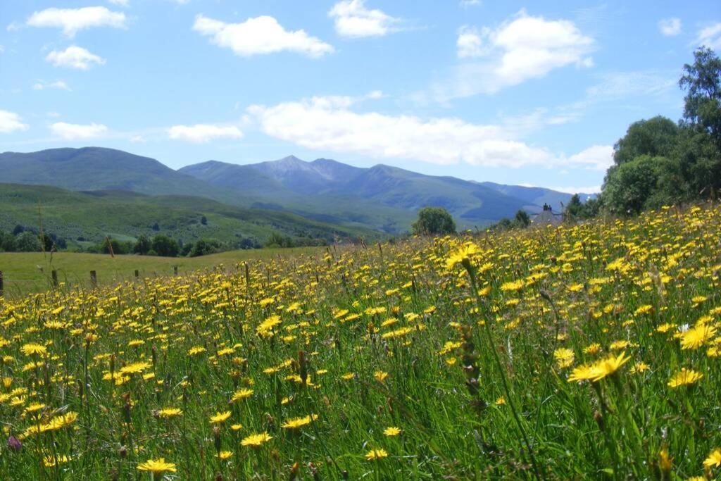 Cul Darach Lodge, Glen Roy Nature Reserve 로이브리지 외부 사진